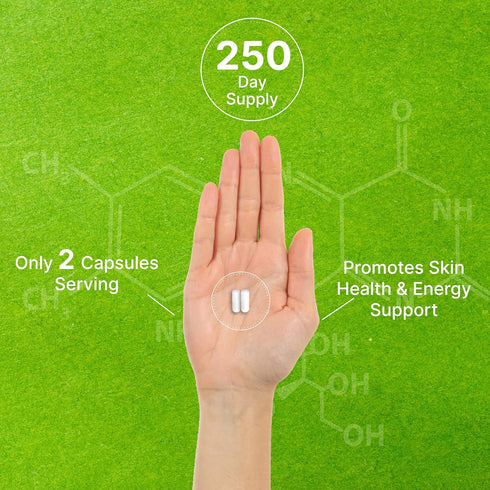 Vitamin B3 Nicotinamide 1,000mg Per Serving – 500 Capsules, Flush Free Niacin, Essential B3 – Supports Healthy Skin & Energy Production – Non-GMO...