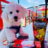Fromm Pop'etts Kickin' Chicken Liver Cracker Dog Snacks - Premium Dog Treats - Liver Recipe - 6 oz...