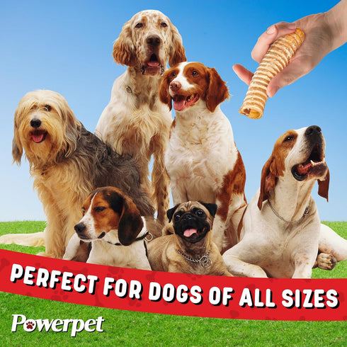 Beef Trachea Dog Chew - 100% All Natural & Highly Digestible - Low Fat, Protein-Rich Treat - Ideal for All Breed Sizes - Healthy, Tasty, and Long-...