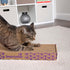 SmartyKat Super Scratcher Corrugated Cat Scratcher, Catnip Infusion Technology - Brown, Single Wide...