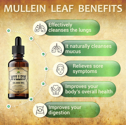 Mullein Leaf Extract - Verbascum Thapsus Liquid Supplement - Herbal Tincture Promoting & Detox Lungs, Respiratory - Lung Cleanse - Vegan Drops, No...