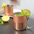 Copper Mug for Moscow Mules - 12-Ounce Copper-Clad Stainless Novelty Cup - Set Of 2...