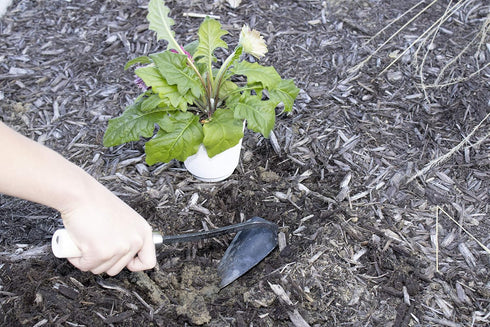 JGI HOMI 2 - Hoe Garden Tool for Weeding, Gardening, harvesting, and Planting, Korean Homi Hand Plow, Durable, Sharp, and Ergonomic...