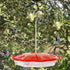 Juegoal 16 oz Hanging Hummingbird Feeder (16 oz)...