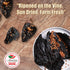 Dried Chile Peppers Variety Pack (12 oz Total) - Ancho, Guajillo, Pasilla Chiles – Staple for Mexican Recipes - Birria, Salsa, Sauces, Stews, Tama...