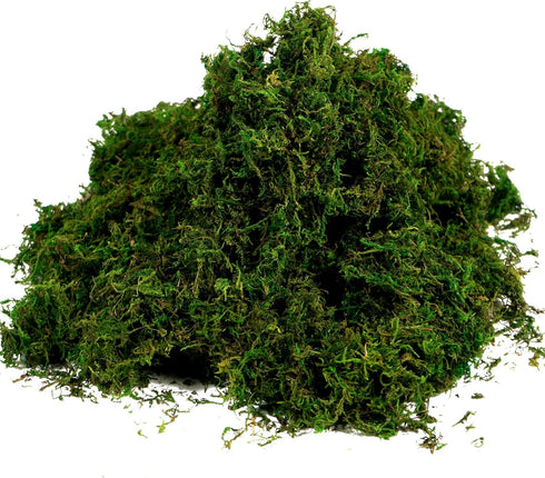 BYHER Artificial Moss Fake Green Grass for Centerpieces Home Kitchen Garden Decor (3.5OZ, Fresh)...