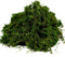BYHER Artificial Moss Fake Green Grass for Centerpieces Home Kitchen Garden Decor (3.5OZ, Fresh)...