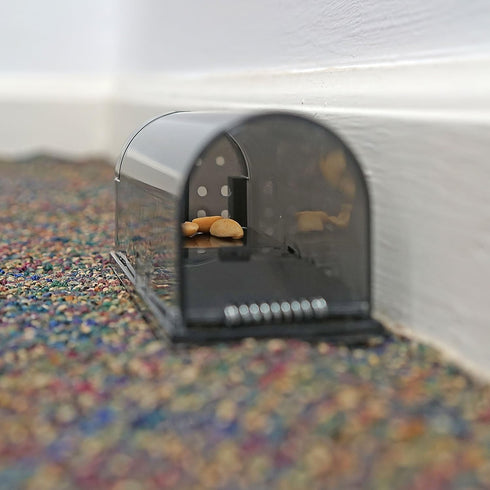 iTrap Humane Live Catch & Release Smart Mouse Traps, Set of 2 - Safe Around Pets & Children...