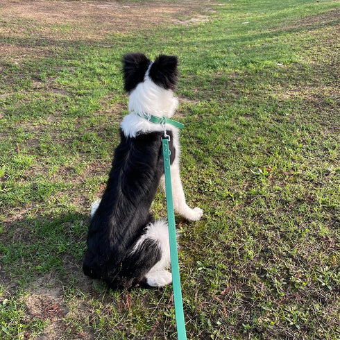 Waterproof Dog Collar, Adjustable Odor Proof Dog Collars Easy to Clean, Soft Comfortable Pet Collars for Large, Medium Small Dogs (Strawberry Red,...