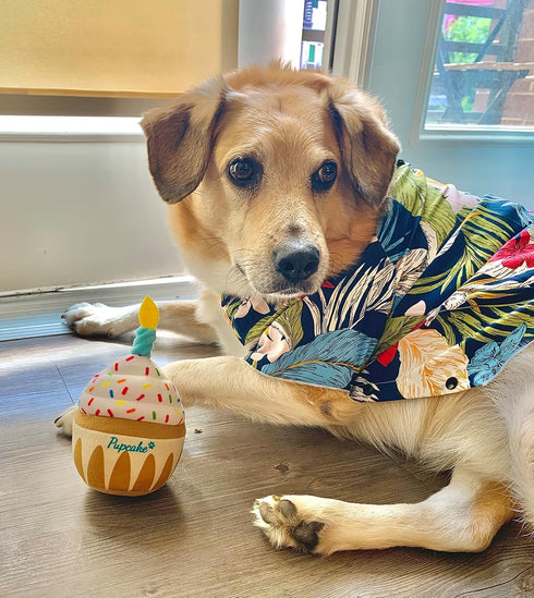 Nestpark Dog Birthday Toy - Pup Cake Puppy Cupcake Plush Squeak and Crinkle Gift...