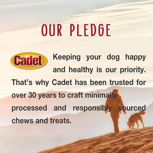 Cadet Gourmet Triple-Flavored Ring - Beef Hide Kabob Dog Treats - Healthy & Natural Chicken, Liver, & Sweet Potato Dog Treats for Dogs Over 30 lbs...