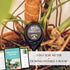 Classy Casita 3-in-1 Soil Moisture, Light, pH Meter - Hygrometer Tester for Indoor and Outdoor Plants - Monitor levels for garden, farm, lawn, hou...