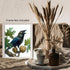 Posterizer 1 pcs-detailed natural history illustration of a raven-Corvus corax 1-Art for Animal Lovers-Gift for Men Women Teens-Chic Home Decor- u...