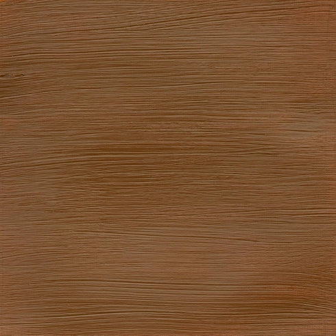 Winsor & Newton Professional Acrylic Paint, 200ml (6.75-oz) Tube, Raw Sienna...