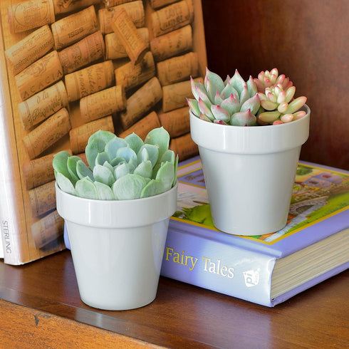 Youngever 10 Pack 3 Inch Mini Plastic Planters Indoor Flower Plant Pots, Grey Gardening Pot with Drainage for All House Plants, Flowers, Herbs, Su...