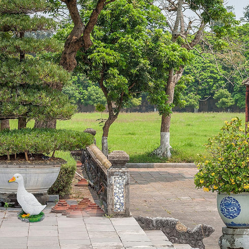 GANAZONO Garden Statue Decoration Resin Funny Garden Figurines Outdoor Animal Statue for Patio Lawn Yard Art Decoration...