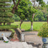 GANAZONO Garden Statue Decoration Resin Funny Garden Figurines Outdoor Animal Statue for Patio Lawn Yard Art Decoration...