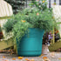 Bloem Saturn Round Planter with Saucer Tray: 10" - Bermuda Teal - Durable Plastic Pot, Matte Finish, Removable Saucer, for Indoor & Outdoor Use, G...