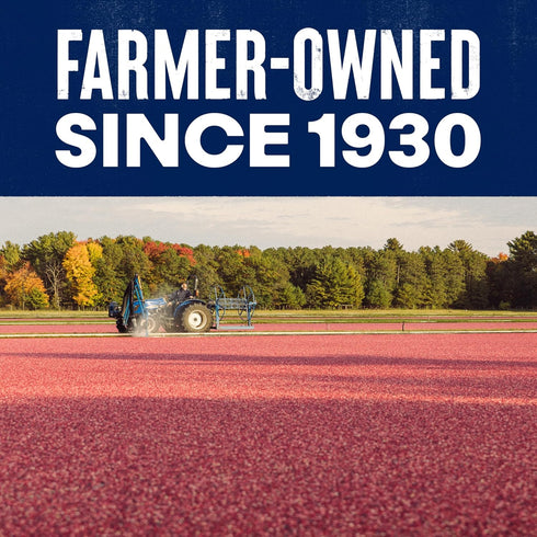 Ocean Spray® Craisins®, 50% Less Sugar Dried Cranberries, Dried Fruit, 5 Oz Pouch (Pack of 1)...