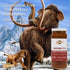 KC Natural | Traditional Style Tomato Free Pasta Sauce | 280mg Sodium (1-pack, 1.00)...