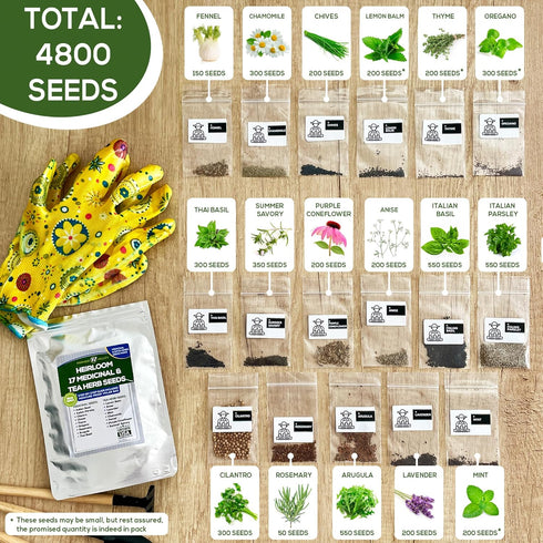 Medicinal and Tea Herb Seeds Collection - Over 4,500 Heirloom and Non GMO Garden Seeds for Planting Indoor, Outdoor & Hydroponic - includes Basil,...
