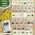 Medicinal and Tea Herb Seeds Collection - Over 4,500 Heirloom and Non GMO Garden Seeds for Planting Indoor, Outdoor & Hydroponic - includes Basil,...