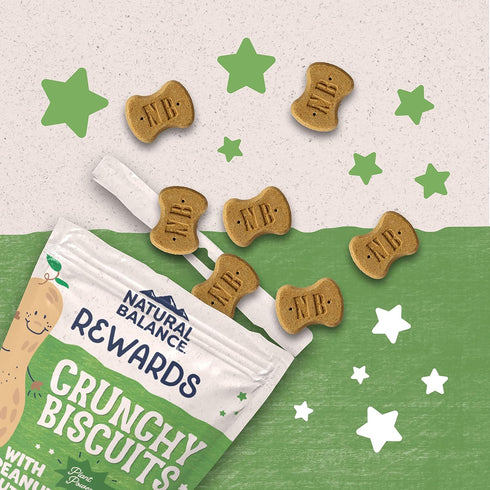 Natural Balance Limited Ingredient Rewards Crunchy Biscuits, Vegetarian Dog Treats for Adult Dogs of All Breeds, Peanut Butter Recipe, 14 Ounce (P...