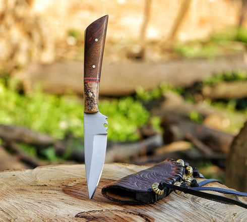 METAL OF HONOR Paring Knife 3inch Small kitchen Knife with Sheath Fruit and Vegitable Knife for Peeling (Stag)...