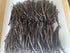 2oz Madagascar Organic Vanilla Beans Extract Exclusive Grade B. Certified USDA Organic | Weight - 2 Ounces (1/8 Lb) by FITNCLEAN VANILLA Bulk Dry ...