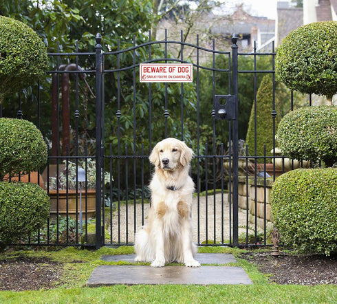 Beware of Dog Sign for Fence and Yard (2 Pack) Smile You are on Camera Aluminum Metal Warning Signs for House Indoor or Outdoor Use for Fence Door...