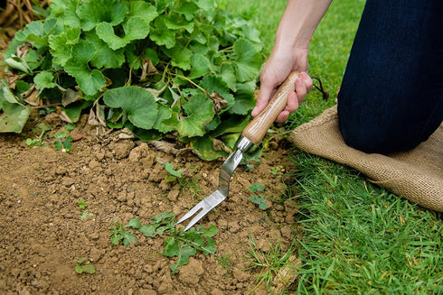 Kent & Stowe Classic Stainless Steel Dandelion Weeder...