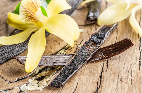 10 Organic Madagascar Vanilla Beans - Whole Extract Grade B Pods for Baking, Homemade Extract, Brewing, Coffee, Cooking...
