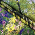 HVEST Forest Sunshine Tapestry Wall Hanging Spring Purple Lavender Morning Sunlight Through Green Trees Tapestry Nature Landscape Tapestry for Liv...