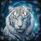 Fabric Panel 14"x14" White Tiger 100% Cotton Quilting Sewing Square M746...