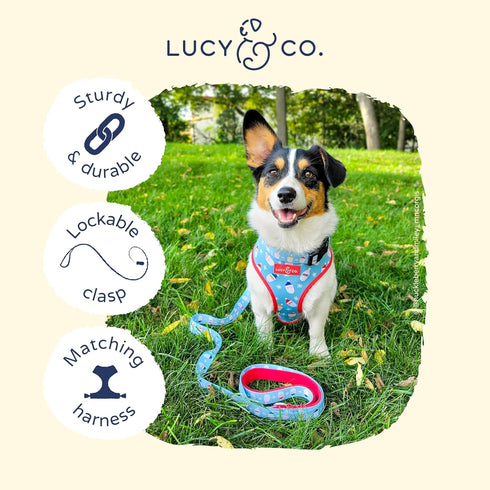 Lucy & Co. Designer Dog Leash - Pet Accessories - Thick Dog Leash - Padded Handle for Comfort - Holiday Red and Light Blue Santa - 5 Foot (Merry &...