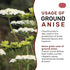 Spicy World Ground Anise Powder 7 Ounce - Anise Seeds Ground, Pure & Natural, Great for baking, cooking, and even tea...