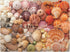 Galison Vibrant Seashells – Christine Chitnis 1000 Piece Puzzle Featuring Chromatic Seashell Arrangement On Sand...