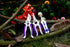 Garden Pruning Shears,Gardening Tools Bypass Hand Pruner Stainless Steel Gardening Scissor,Tree Cutter Clippers Secateur Trimmer Kit Set of 3,Purp...
