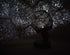 ScienceGeek Star Lamp Projector Fantasy Sky Map Projector Astrostar Cosmos Romance Light Lamp...