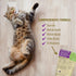 Pet Naturals Daily Multivitamin for Cats with Biotin, Taurine and Arginine, 30 Fish Flavored Chews...