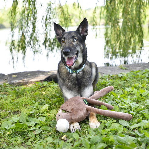 Stuffed Camel Plush Toy for Large Dogs | Cute and Durable Stuffed Animal, Sustainable Squeaky Chew Toys for Puppies and Adult Dogs | Made from Eco...