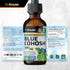 BIO KRAUTER Blue Cohosh Tincture - Caulophyllum Thalictroides Extract - Women’s Health Support - Alcohol and Sugar Free Liquid Blue Cohosh Extract...