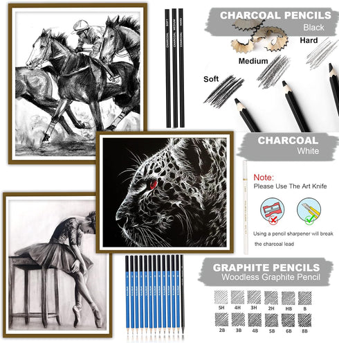 KALOUR 33 Pieces Pro Drawing Kit Sketching Pencils Set,Portable Zippered Travel Case-Charcoal Pencils, Sketch Pencils, Charcoal Stick,Sharpener,Er...