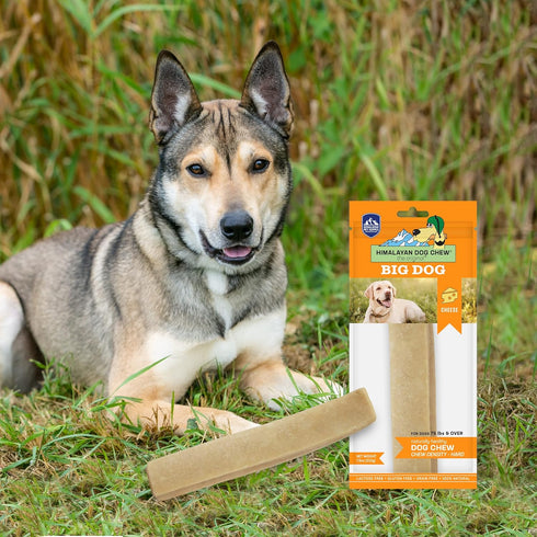 Himalayan Dog Chew Dog's Treat with Yak and Cow Milk...