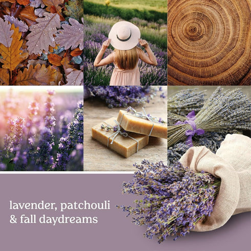 Yankee Candle Concentrated Room Spray, Dried Lavender & Oak, 1.5 OZ (Pack of 3)...