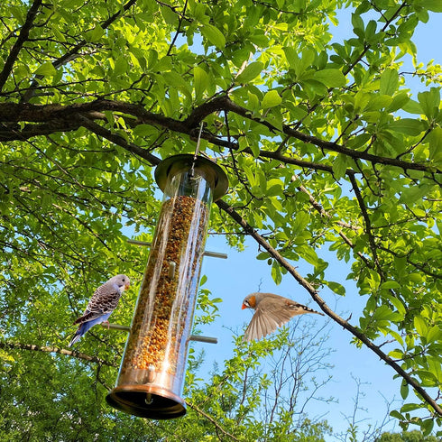 MIXXIDEA Finch Bird Feeder Hanging Metal Thistle Seed Feeder with 8 Feeding Ports Nyger Seed Feeder, Goldfinch Feeder for Outdoors Garden Copper...