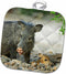 3D Rose Texas-Rio Grande Valley. Javelina Wildlife-Us44 Bja0137-Jaynes Gallery Pot Holder, 8" x 8"...