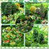 55 Pcs Miniature Colorful Flower Cluster Mini Model Trees Artificial Grass Mat Squares Set 36 Flower Tufts 15 Mixed Train Diorama Trees 4 Garden C...