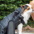 Mr. Pen- Pet Adjustable Dog Carrier Backpacks, Hiking Travel Backpack, Puppy Backpack, Dog Front Carrier...