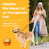 Shock Absorbing Bungee Dog Leash 4-7 ft. for Golden Retreivers with Seatbelt Buckle and Comfortable Padded Handle, Highly Reflective Extendable He...